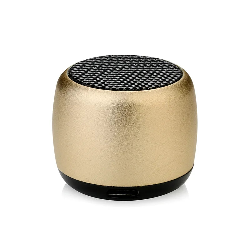 Mini Enceinte Portable Bluetooth