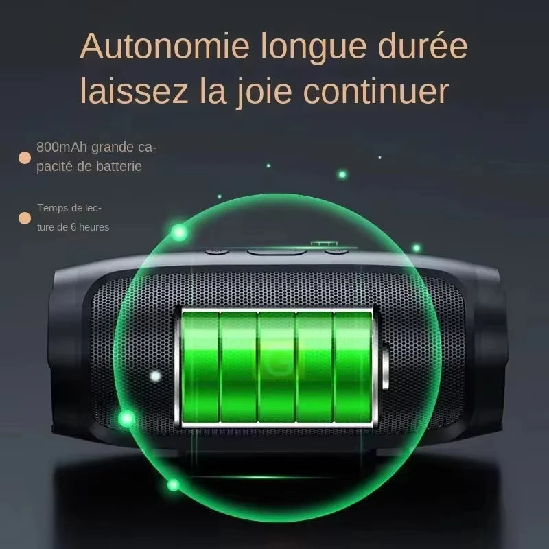 Enceintes portables LENOVO